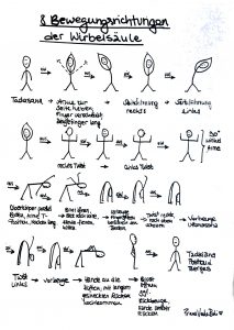 8 Bewegungsrichtungen der Wirbelsäule