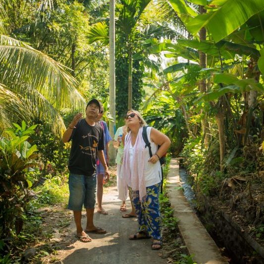 Trip to the Waterfall in Les
