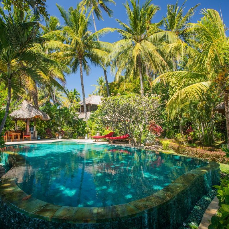 Outdoor pool and garden