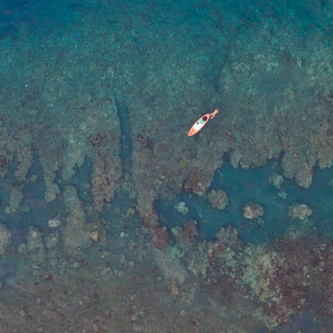 Korallenriff vor der Haustür